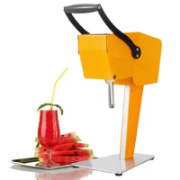Commercial Electric Orange Juicer Citrus Juicer Tabletop Blender Stainless Steel Automatic Watermelon Squeezer