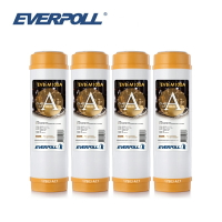 (4支入)EVERPOLL EVB-M100A標準型10英吋道爾樹脂濾芯(白殼)大大淨水