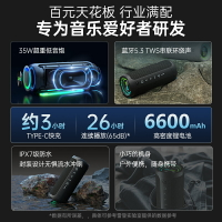 雷登X10MAX 音箱35W大音量超重低音炮戶外防水便攜小音響