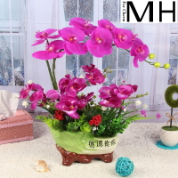 高檔仿真蝴蝶蘭花藝盆栽干花套裝飾假花絹花客廳餐桌擺設擺件花卉