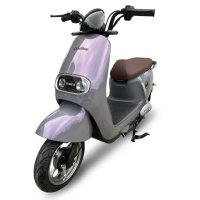 【向銓】MIKA微型電動二輪車 PEG-058 /泰勝 TSV-66(電動車)
