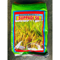 Agrosid Benih Padi Hibrida SUPPADI 56 Berkualitas Original 100% F-1 Cocok untuk Tanaman Kekar dan Re