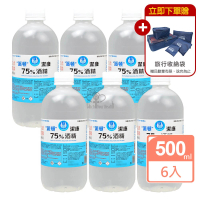 【派頓】潔康75%酒精X6瓶組 乙類成藥(500ml/瓶 贈沙威隆抗菌濕巾40抽)