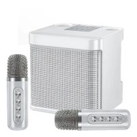 Portable Karaoke Machine,DECWIN High Power Wireless Dual Microphone PA Speaker System,Karaoke All-in-one,YS-203