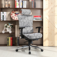 LOGIS- 安索尼雙層網工學椅 全網椅 辦公椅 電腦椅