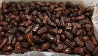 阿雅ALYA 特級黑鑽椰棗(去籽) 10公斤/箱