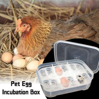Small Pet Egg Incubator for Reptile Lizard Gecko Snake with 16 Grids Home Egg Hatchery Breeding Box Case Incubator