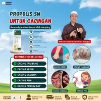 Propolis SM Untuk Cacingan Bantu Hilangkan Cacing Tambang Dikulit Cacing Kremi Cacing Cambuk Cacing 