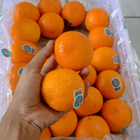 Termurah (1 KRAT) JERUK WOKAM MURCOT / JERUK MANDARIN / JERUK MANIS /BUAH SEGAR Ready
