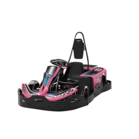 New Product Hot Sale Low PricesAdult Go Kart Professional Karting Sport Go-kart Electric children's go kart