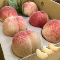 【初品果】拉拉山水蜜桃禮盒6顆x4盒(水蜜桃1200g_五月桃_媽媽桃_產地直送_季節限定_禮盒)