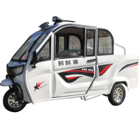 Electric tricycles for household use, covered adult transportation vehicles, agricultural hauling