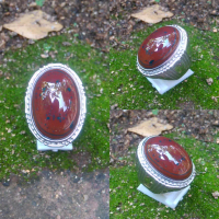 Puser bumi Jasper nagasui