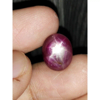 Natural Ruby Star 12x10x6 mm 8.55 Ct Merah Delima Bintang Super Kristal Fatwa Jumbo Oval Cabochon Co