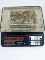 Udang Vaname (Kecil) 1 Kg