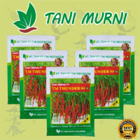 Q&J2 Tani Murni Bibit Cabai Tani Murni TM Thunder 99 Cabe Hibrida F1 10 gram OBRALHG564
