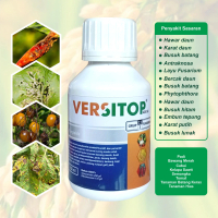 VERSITOP 425 SC Fungisida Sistemik Azoksistrobin & Difenokonazol 250 g/L/175 g/L Perlindungan Maksim