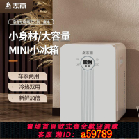 【台灣公司 可打統編】志高迷你家用小冰箱小型宿舍冰箱冷藏车家两用学生宿舍车载家用