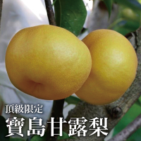 【十翼饌選果】頂級寶島甘露梨32A/5粒/9臺斤x2盒(友善農耕/草生栽植/無除草劑)