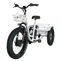 power bike 750w 24 inch electric trike fat tire 3 wheel Electric Tricycle three wheels adult cargo electric bike with basket