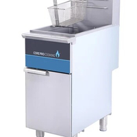 Gas Commercial Fryers Chips Frying Machine Kitchen Equipment Deep Fryer Industry Gas Fryer