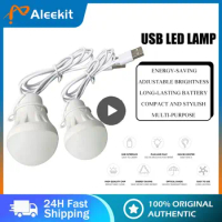 Portable USB LED Lamp Bulb Mini Camping Lantern 5V Hanging Tent Fishing Night Light Book Reading Powerbank Bright Table Lamp 3W