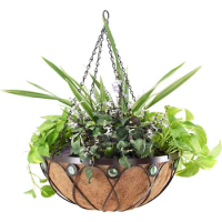 Arcadia Emerald Series Round Hanging Basket Planters, 20-Inch