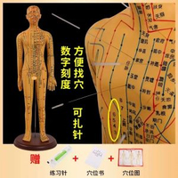 中醫針灸穴位人體模型教學全身十二經絡圖小皮人軟膠扎針練習模特升級版62CM女銅軟模-可扎針