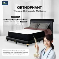 Elephant Kasur Springbed Orthopedic Orthophant Komplit Set 180x200