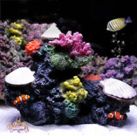 940+ Dekorasi Aquarium Laut Gratis Terbaru
