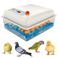 20-50 eggs household incubator small plastic bionic water bed incubator automatic temperature control egg incubator 220V US-plug