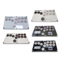 Fightingbox Hitbox Buttons Arcade Fight Game Keypad Controller for SKY2040