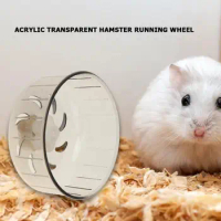 Hamster Running Wheels Transparent Hamster Wheel Running Jogging Treadmill Silent Small Pet Supplies Exercise