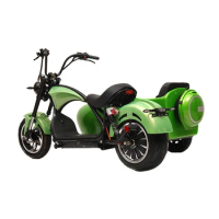 eu warehouse 2 wheel electric scooters powerful adult citycoco 3000w 60v 20ah electric motorcycle off-road motorcycles