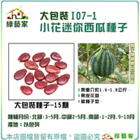 【綠藝家】大包裝I07-1.小花迷你西瓜種子15顆 F1 春夏初秋 果重介於1.6-1.8公斤 果皮花斑