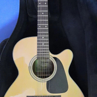 Takamine D Series ED2NC-NAT PLUSPLUS