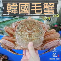 【上銀水產超市】韓國活毛蟹(不定重)(需實際秤重報價)