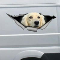 White long-haired dachshund decal, dachshund magnet, dachshund decal,car sticker