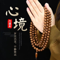 限時下殺 免運 可開立發票 台灣公司 【保真】正宗六道木佛珠手串老料降龍木男女長款文玩念珠手鏈送禮