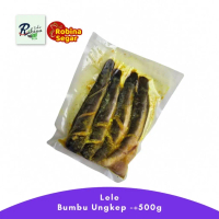 Ikan Lele Bumbu Kuning Marinasi siap masak praktis - instan only