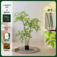 模擬植物南天竹落地盆栽仿生綠植室內客廳裝飾花擺件大型盆景假樹