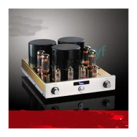 Yaqin MC-10T bile duct electronic tube power amplifier bile duct power amplifier fever HiFi power amplifier