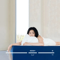 【hoi! 好好生活】藍盒子記憶棉三段式獨立筒床墊 Z1-台規雙人5尺 150*190(獨立筒 軟硬適中天絲面料)