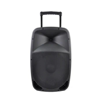 RQSONIC PMK15AMFQ-V2BP-BT 15'' 100W Powered Speaker Trolley Battery DJ Active Speaker With 2 Wireless Mic