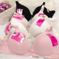 (2 Pcs) BH Menyusui Tanpa Kawat Berpori POLINI G201 - Bh Ibu Hamil Menyusui Premium Kait 3 Cup B Bra