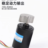 3650 Vibration Brushless DC Motor With Adjustable Speed 12V 24V Micro Planetary Gear High Torque Motor Small Motor BLDC PWM