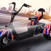 New style Scooter 3 Wheel Tricycle Electric Scooter Motorcycle For Adultscustom
