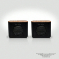 限時★..  【Ashdown Meters】 LINX-SET 藍芽喇叭 公司貨【夏日限時 全館點數5倍送】