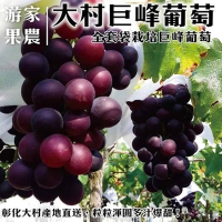 【果農直配】游家大村巨峰葡萄4箱(每箱3-4串/約4斤)