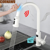 Kitchen Sink Touch Faucet LED Gigital Pull Out Crane Deck Mount SUS304 Stainless Steel Crane Steam Water 360 Swive Smart Faucet